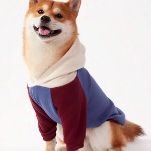 Cozy Blue and Burgundy Dog Hoodie